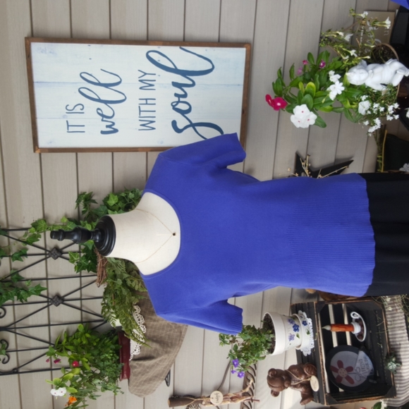 PETITE SOPHISTICATE ♡ Gorgeous 2pc Vintage Royal Blue Knit STRETCH Sweater Set S - Picture 3 of 14